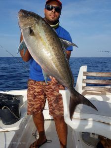 Seriola Rivoliana pescada a jigging por el capitán en cabo verde