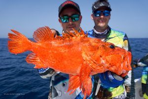 Cabracho a slow deep jigging en Isla de Sal