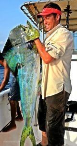 Dorado a shore jiggin en Isla de Sal