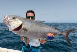 Seriola rivoliana a jigging en Cape Verde