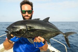Perlado Blue Runner pescado a jigging en Sal Island