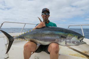 Thunnus Albacares a jigging en Isla de Sal