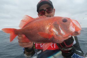 Pez Reloj con más de 150 años a deep jigging en Cabo Verde