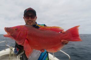 Pejeperro Cabo Verdiano a Slow Jigging en Isla de Sal