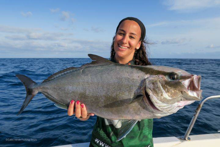 Seriola Rivoliana a jigging en Santa María