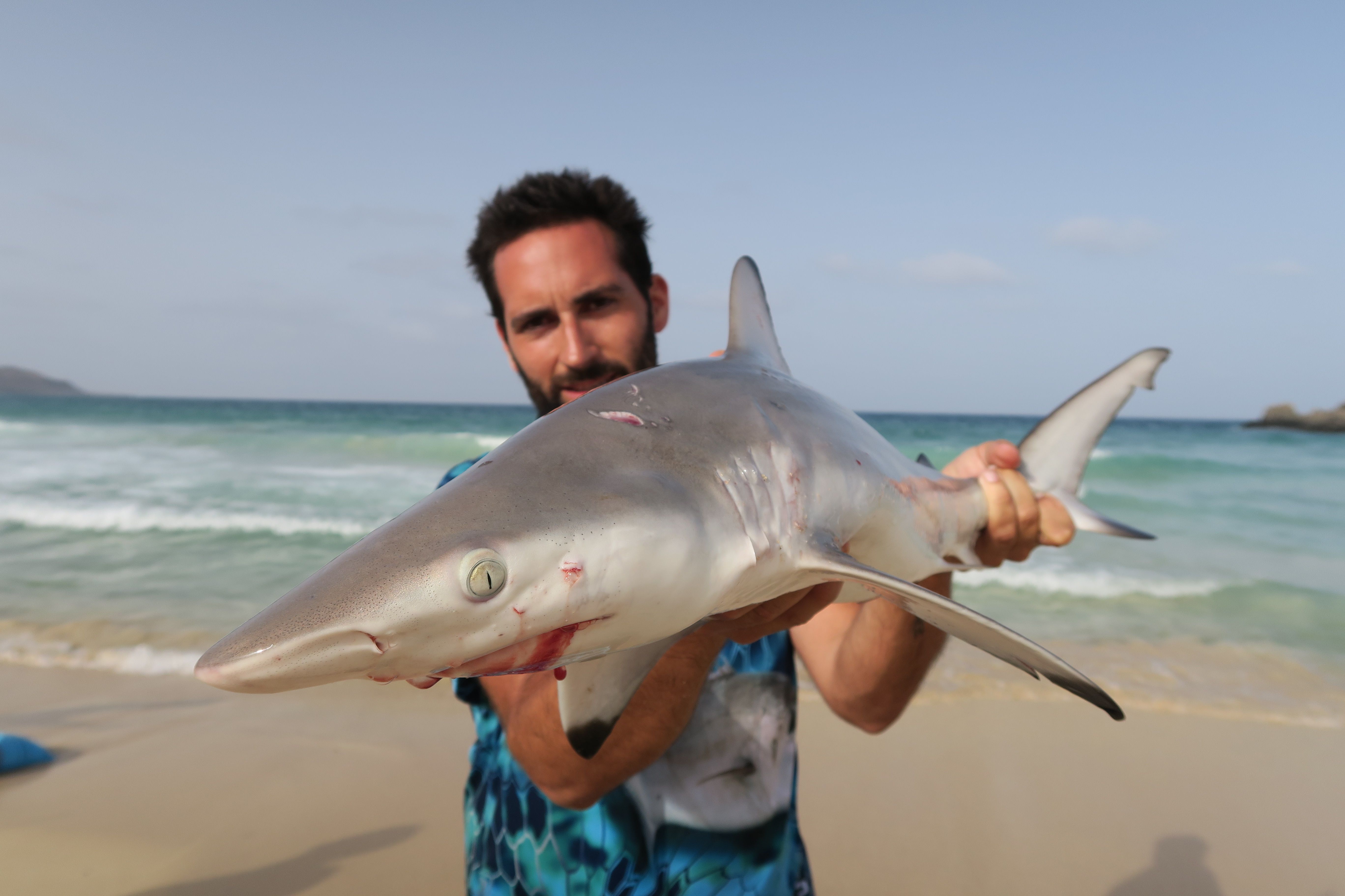 Dusky Shark a surfcasting en Sal Island Beach