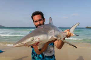 Tiburón puntas negras en Isla de Sal a Surfcasting