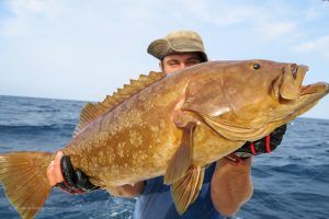 Badeixo o Abade pescado a jigging en Cabo Verde