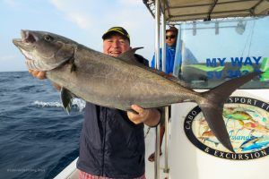 Preciosa Seriola Rivoliana a jigging en Cabo Verde
