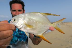 Micro Pompano a Spinning desde la playa en Isla de Sal