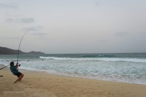 Hardcore Surfcasting pescando tiburones desde la playa en Isla de Sal