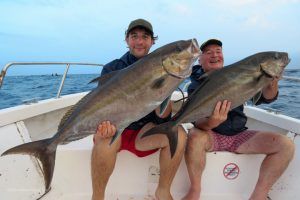 Pareja de Amberjacks a jigging en Sal Island