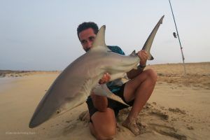 Tiburón Dusky a Surfcasting en las playas de Isla de Sal