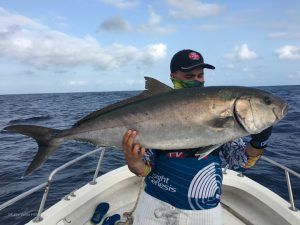 Amberjack a jigging en Santa María