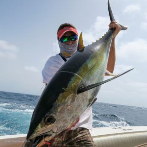 Yellowfin tuna a jigging en Cabo Verde