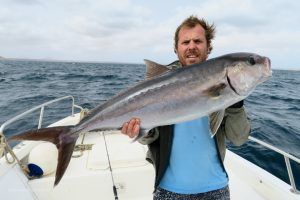 Amberjack a jigging en Isla de Sal