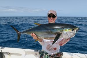 Yellowfin tuna a jigging en Santa María