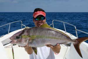 Serviola Fasciata a jigging en Isla de Sal