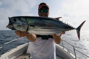 Skip jack a shore jigging en Cabo Verde
