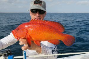 Garopa a slow jigging en Cabo Verde