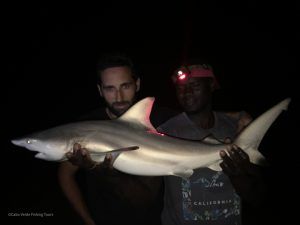 Dusky Shark a Surfcasting en Isla de Sal