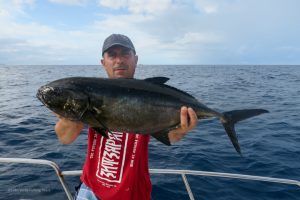 Blue Runner record a jigging