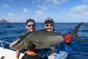 Serviola Rivoliana a jigging en Isla de Sal