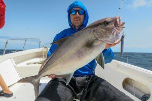 Almaco Jack jigging