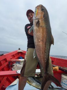 Serviola Dumerili a jigging en Cabo Verde